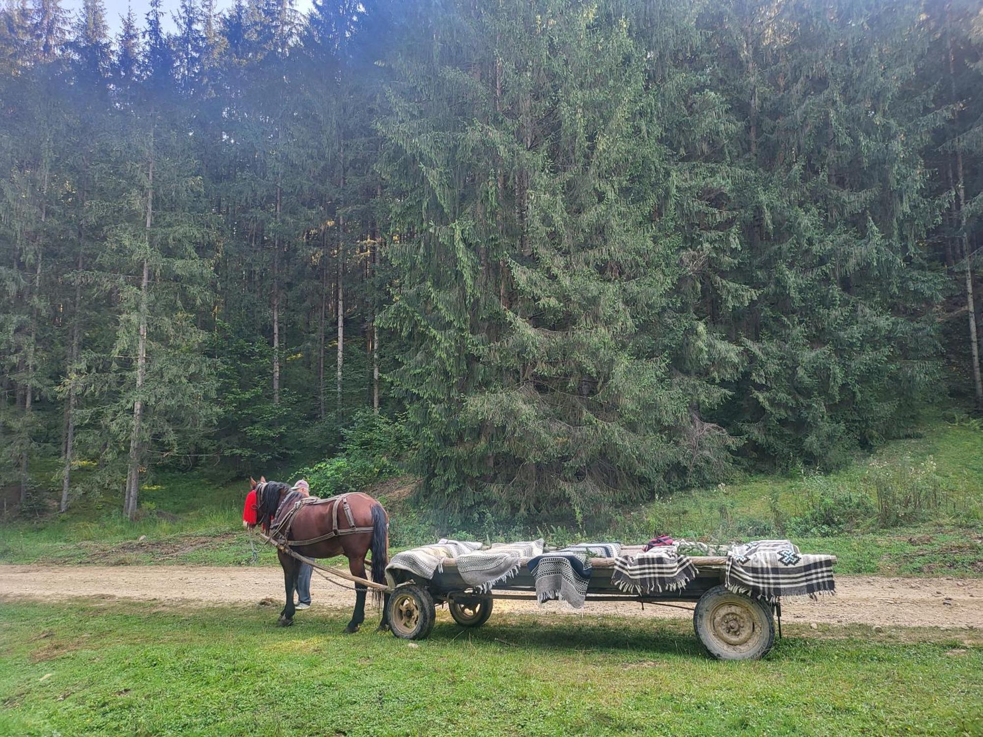 Soimii Bucovinei Residence Vatra Moldoviţei Zewnętrze zdjęcie
